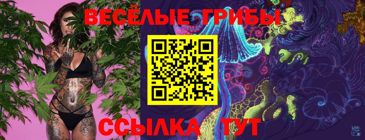 Псилоцибиновые грибы мухоморы Чайковский