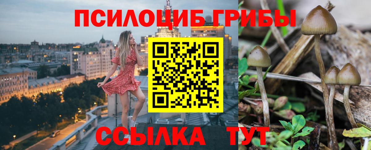 Галлюциногенные грибы мухоморы  Галлюциногенные грибы Psilocybe  Вход с VPN  Чайковский 